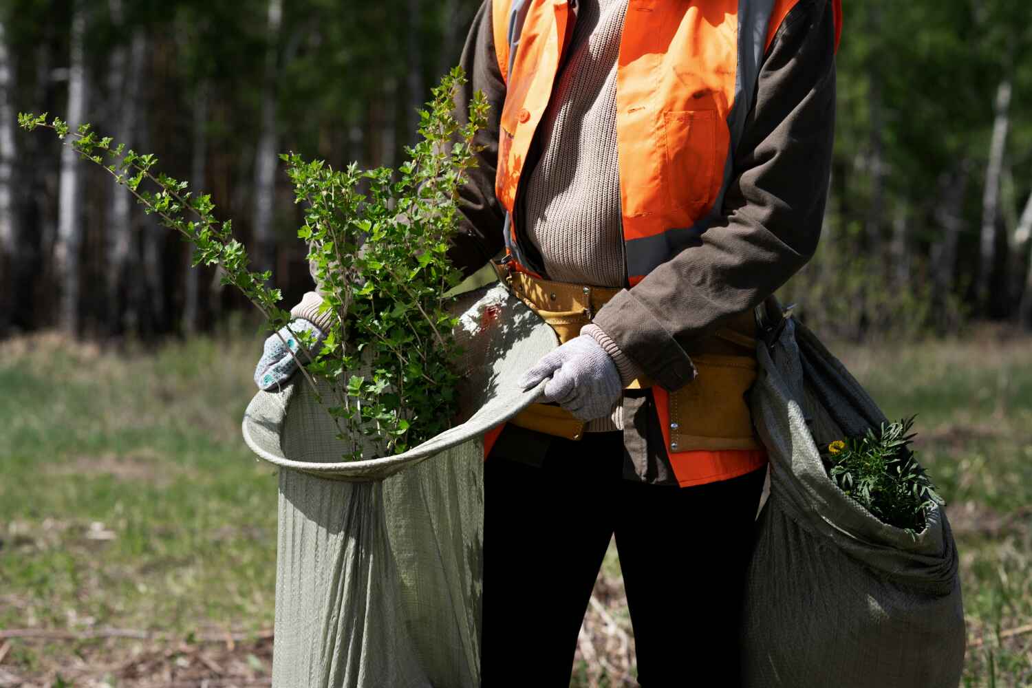 Best Tree Care Services  in Kendall West, FL